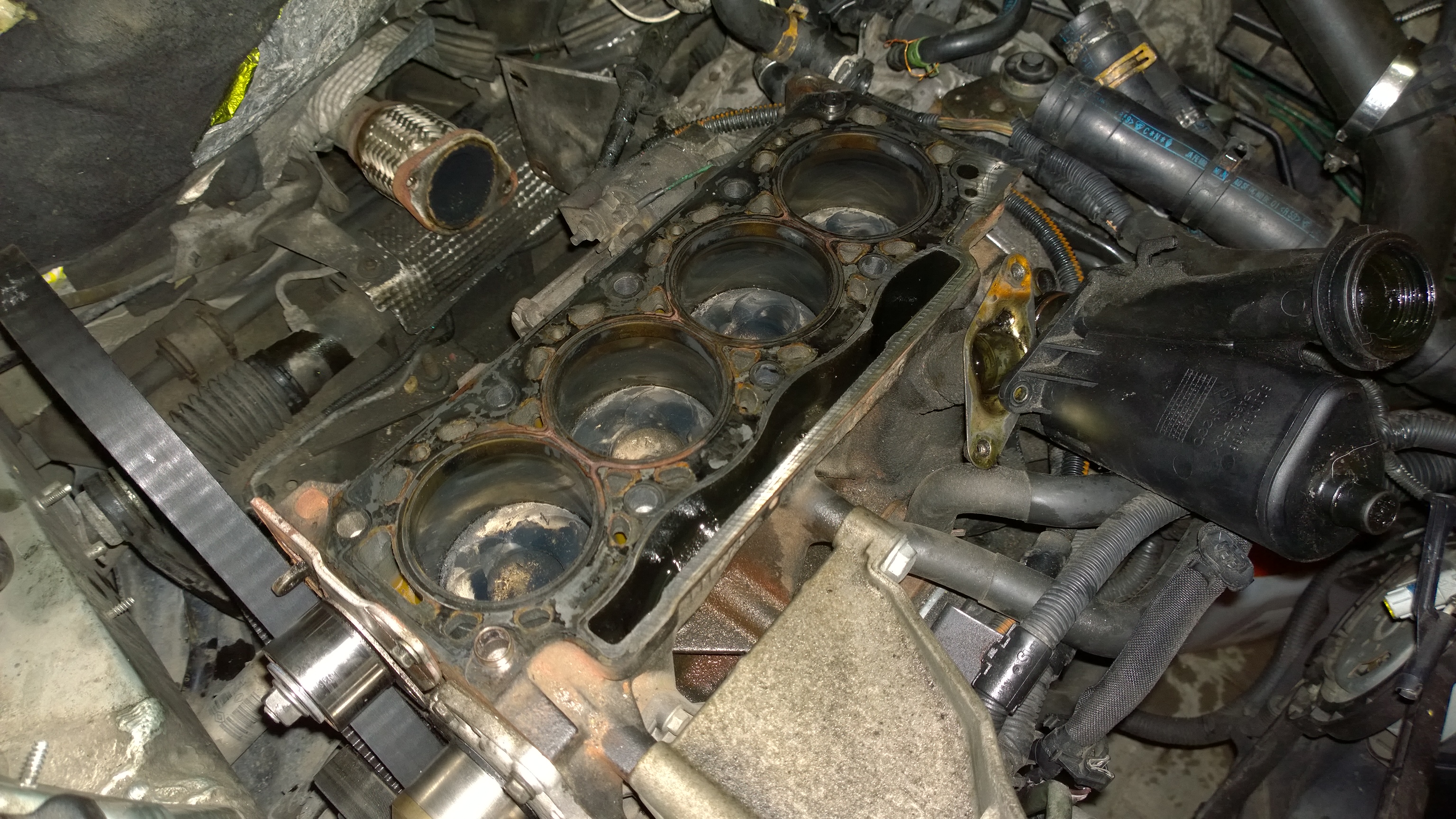 WP_20150717_01_44_42_Pro Polomotor 1.9dCi 88kW po 300 000km.